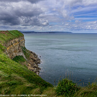 Buy canvas prints of Clifftop view from near Filey Brigg by Michael Shannon