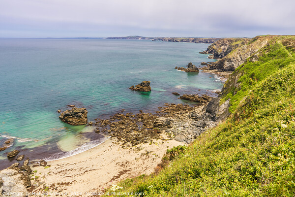 North Cornwall Coastline near Hell's Mouth Picture Board by Michael Shannon
