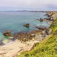 Buy canvas prints of North Cornwall Coastline near Hell's Mouth by Michael Shannon