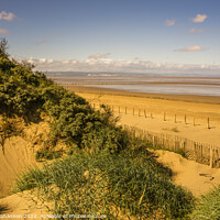 Buy canvas prints of View of the beach at Berrow in Somerset from the S by Michael Shannon