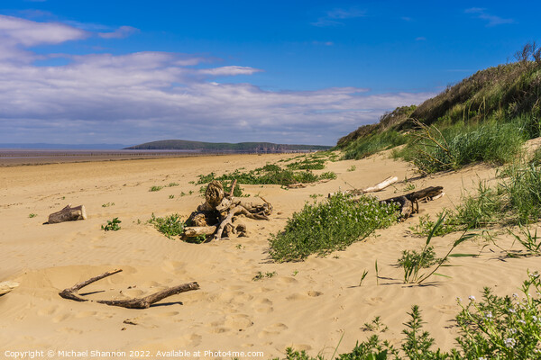 View of the beach and sand dunes at Berrow in Some Picture Board by Michael Shannon