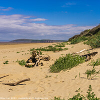 Buy canvas prints of View of the beach and sand dunes at Berrow in Some by Michael Shannon