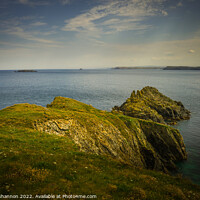 Buy canvas prints of Looking out to sea from Barras Point near Padstow  by Michael Shannon