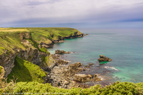 Cornish Coastline between Navax Point and Hell's M Picture Board by Michael Shannon