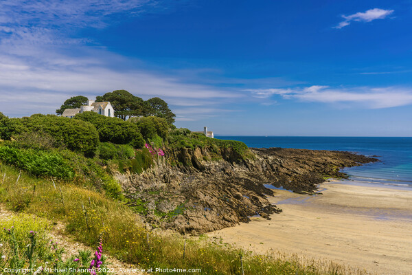 The beach at Chapel Point in Cornwall Picture Board by Michael Shannon