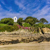 Buy canvas prints of Chapel Point beach and headland in Cornwall by Michael Shannon