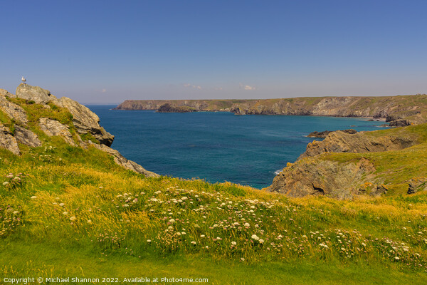 Coastline between Lizard Point and Kynance cove in Picture Board by Michael Shannon