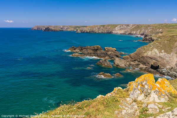 View from the walk from Lizard Point to Kynance co Picture Board by Michael Shannon