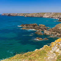 Buy canvas prints of View from the walk from Lizard Point to Kynance co by Michael Shannon