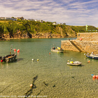Buy canvas prints of Small boats and Harbour Wall in Gorran Haven in Co by Michael Shannon
