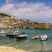 Buy canvas prints of Yachts and small boats moored in Mousehole, Cornwa by Michael Shannon