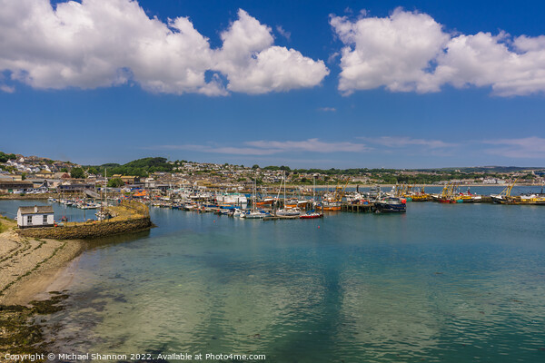 Sunny summer's day, Newlyn Harbour, Cornwall Picture Board by Michael Shannon