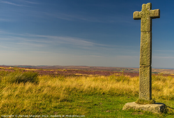Young Ralphs Cross, North Yorkshire Moors Picture Board by Michael Shannon