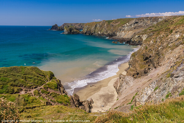 Pentreath Beach near Kynance Cove in Cornwall Picture Board by Michael Shannon