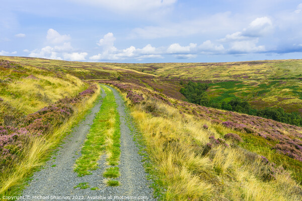 Path leading to Rosedale Head, North Yorkshire Moo Picture Board by Michael Shannon