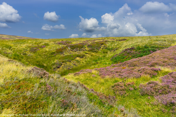 Moorland landscape in late summer  Picture Board by Michael Shannon