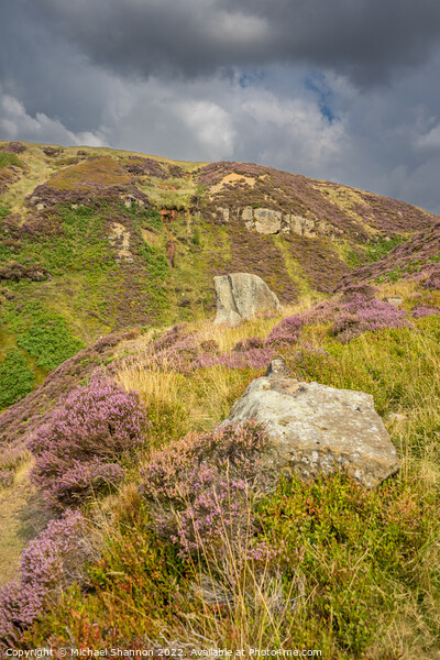 North Yorkshire Moors Landscape - Rosedale Head  Picture Board by Michael Shannon