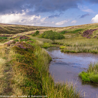 Buy canvas prints of Patches of purple moorland and a small pond - Rose by Michael Shannon
