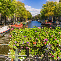 Buy canvas prints of Bike, flowers on bridge over canal in Amsterdam by Michael Shannon