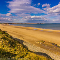 Buy canvas prints of Clifftop view of Reighton Sands by Michael Shannon