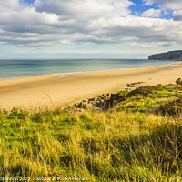 Buy canvas prints of Clifftop view of Reighton and Speeton Sands by Michael Shannon