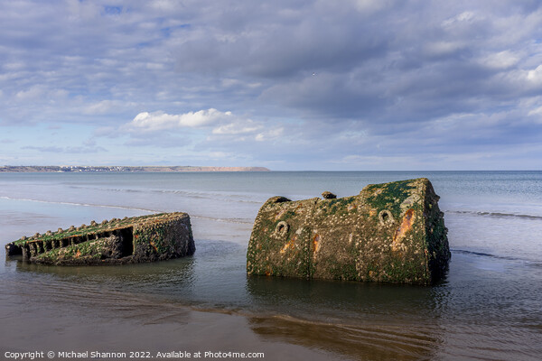 Old shipwreck on the beach near Reighton (Filey Ba Picture Board by Michael Shannon