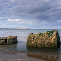 Buy canvas prints of Old shipwreck on the beach near Reighton (Filey Ba by Michael Shannon