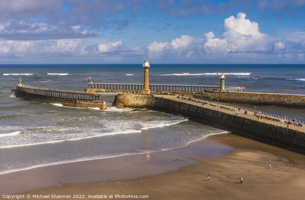 Whitby - West and East Piers and Lighthouses Picture Board by Michael Shannon