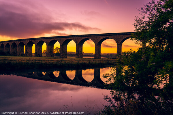 Arthington Viaduct over the River Wharfe at sunris Picture Board by Michael Shannon
