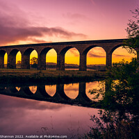 Buy canvas prints of Arthington Viaduct over the River Wharfe at sunris by Michael Shannon