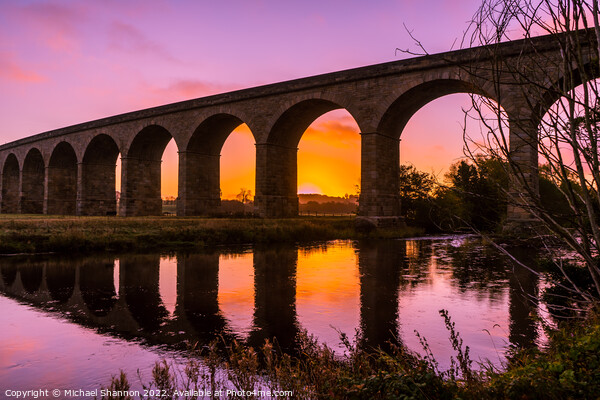 Arthington Viaduct (Wharfedale Viaduct) Sunrise Picture Board by Michael Shannon