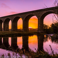 Buy canvas prints of Arthington Viaduct (Wharfedale Viaduct) Sunrise by Michael Shannon