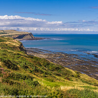 Buy canvas prints of Cleveland / North Yorkshire Coastline near Skinnin by Michael Shannon