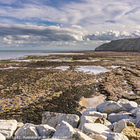 Buy canvas prints of Scarborough South Bay looking towards White Nab by Michael Shannon