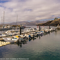 Buy canvas prints of Rows of boats in the harbour. Puerto del Carmen, L by Michael Shannon
