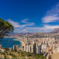 Buy canvas prints of Hilltop view of Benidorm from near La Cruz  by Michael Shannon