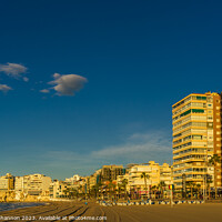 Buy canvas prints of Benidorm Levante Beach - Early Morning just after  by Michael Shannon