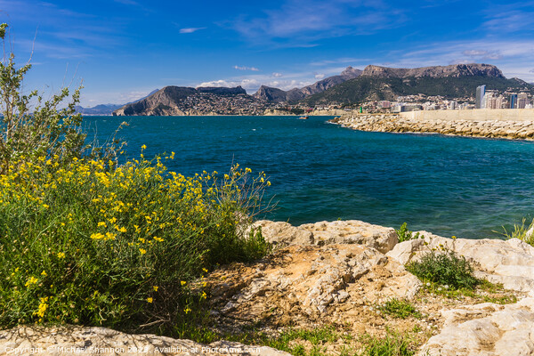 View of Calpe from the Parc Natural del Penyal d'I Picture Board by Michael Shannon