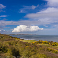 Buy canvas prints of View from clifftop at Reighton, North Yorkshire Co by Michael Shannon