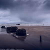 Buy canvas prints of Overcast day at Reighton Sands, Filey Bay by Michael Shannon