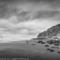 Buy canvas prints of Chalk Cliffs at the end of Speeton Beach. by Michael Shannon