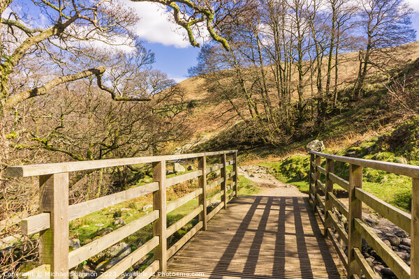 Wooden footbridge - English Lake District Picture Board by Michael Shannon