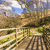 Buy canvas prints of Wooden footbridge - English Lake District by Michael Shannon
