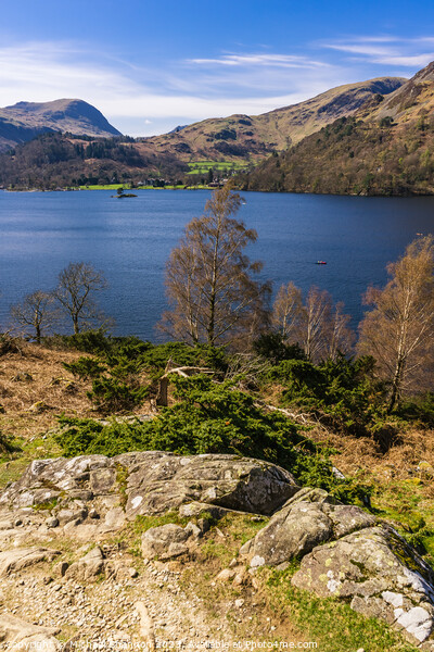 Ullswater View across to Glenridding and fells Picture Board by Michael Shannon