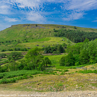 Buy canvas prints of Swaledale, Yorkshire Dales National Park by Michael Shannon