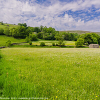 Buy canvas prints of Swaledale, Wild Flower Meadow by Michael Shannon