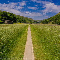 Buy canvas prints of Path through the wild flower meadows, Swaledale by Michael Shannon