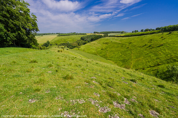 Painsthorpe Dale in the Yorkshire Wolds Picture Board by Michael Shannon