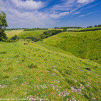 Buy canvas prints of Painsthorpe Dale in the Yorkshire Wolds by Michael Shannon