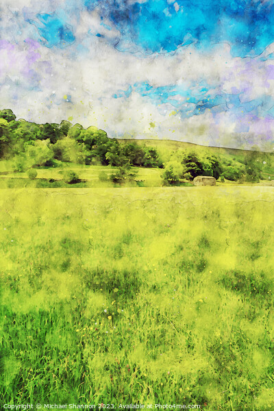 Wild Flower Meadow, Muker, Swaledale (Watercolour  Picture Board by Michael Shannon